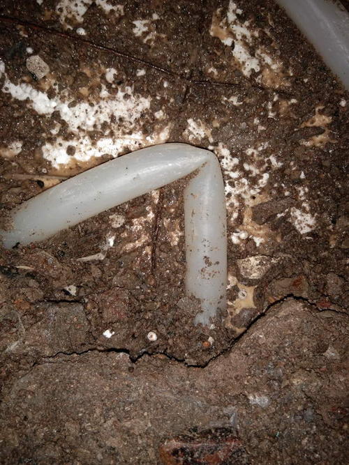 尼玛堵点精准查找